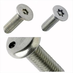 Machine Screws (Security Drive)