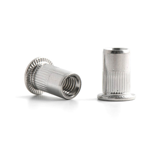 Large Head Stainless Rivet Nut