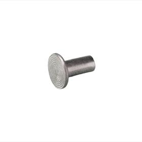 Steel Rivet Flat Head